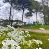 WhatsApp-Image-2024-04-18-at-16.14.07