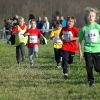 pforzheim_cross_2011_076