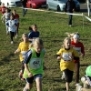 pforzheim_cross_2011_080